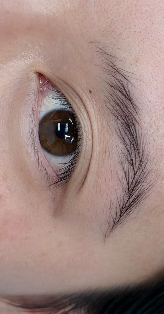 The finished brow only, photographed close and turned on its side: fine hairstrokes laid from head to tail.